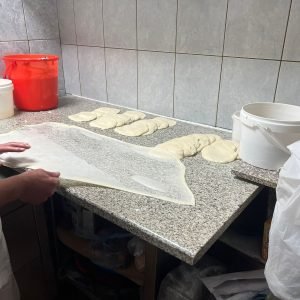 pocetak pcelica brus